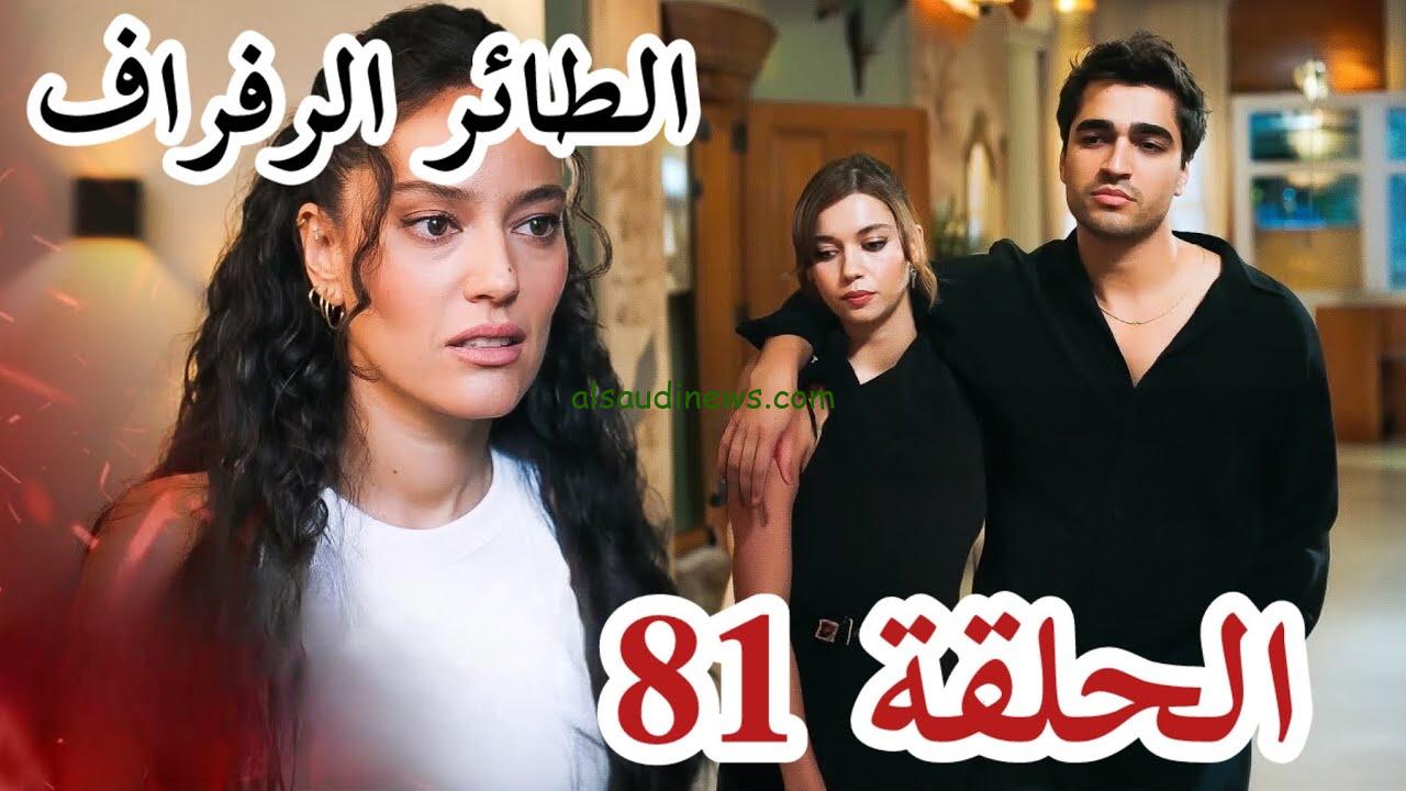 كيفية مشاهدة مسلسل الطائر الرفراف الحلقة 81 Yalı Çapkını ومواعيد العرض عبر القنوات المختلفة 2024