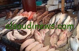 “البلطي بـ86” أسعار الأسماك اليوم في سوق العبور الأحد 3-11-2024