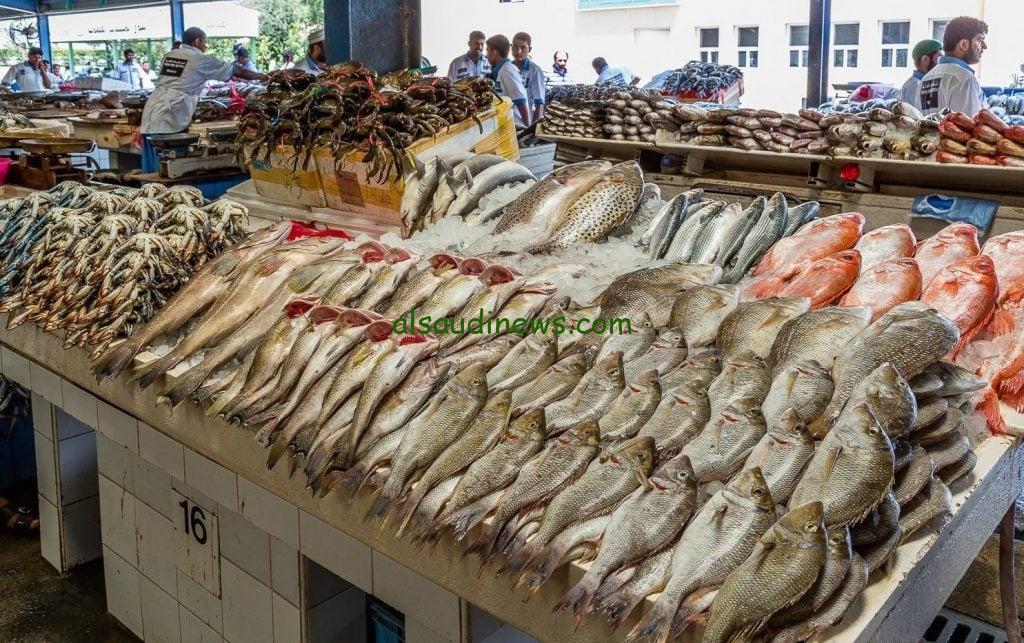 البلطي بـ60 جنية.. أسعار السمك اليوم في الأسواق السبت 9 نوفمبر 2024