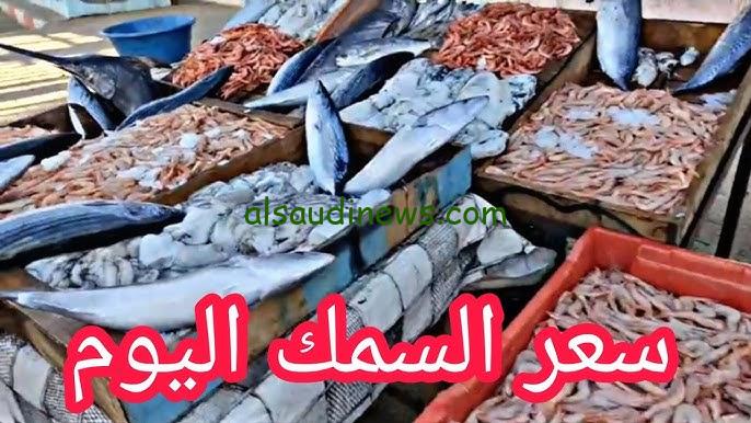 ” بكام الكيلو البلطي ” أسعار السمك للمستهلك اليوم الأربعاء 6 نوفمبر 2024 في جميع الاسواق