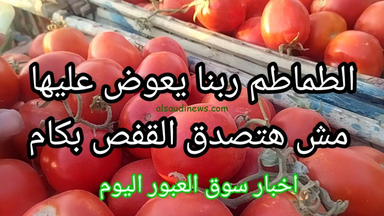 ” بكام اليوم؟ ” أسعار الطماطم اليوم الأثنين 4 نوفمبر 2024 في سوق العبور واسعار الخضروات