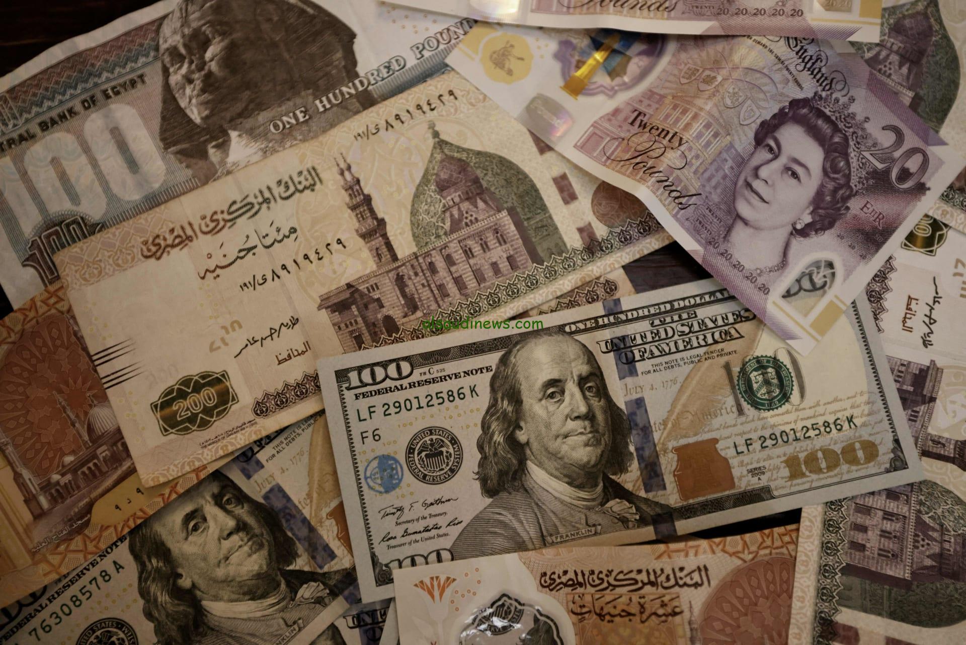 “الأخضر كسر الخمسين” أعلى سعر للدولار اليوم في السوق السوداء الاحد 24 نوفمبر 2024 مقابل الجنيه المصري
