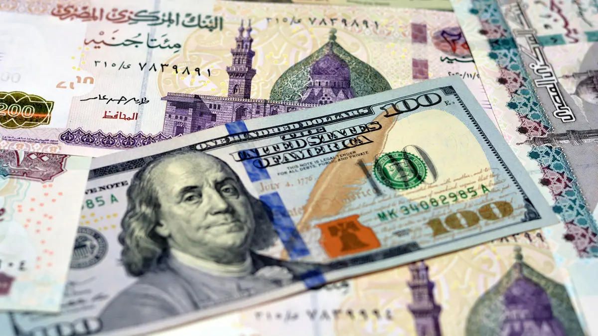 “الأخضر ولع” أعلى سعر للدولار اليوم في السوق السوداء الأربعاء 13 نوفمبر 2024 وبالبنوك في مصر
