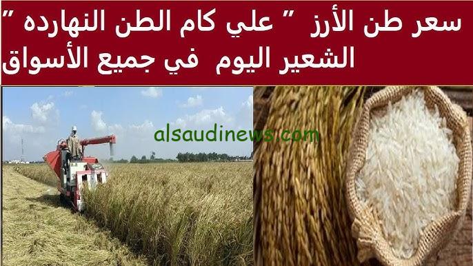 “العريض بكام؟؟” اسعار الأرز الشعير اليوم الثلاثاء 12 نوفمبر 2024 في جميع الاسواق المصرية