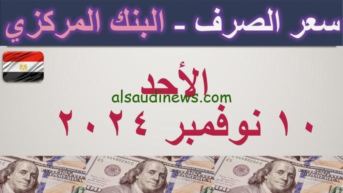 ” الأخضر يفوق التوقعات ” اسعار العملات اليوم في مصر مقابل الجنية المصري الأحد 10 نوفمبر 2024