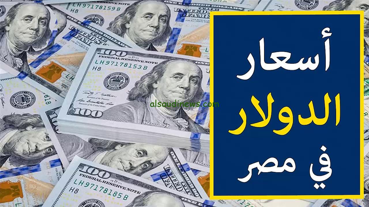“الاخضر كارثة” اعلي سعر للدولار في السوق السوداء اليوم السبت 23 نوفمبر 2024 مقابل الجنيه المصري