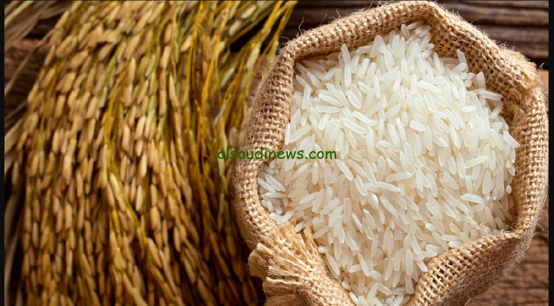 ” الحبة العريضة ولا الرفيعة” سعر طن الأرز الشعير اليوم الجمعة 8 نوفمبر 2024 في جميع الأسواق المصرية