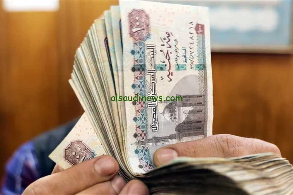 “هنـــــا” رابط الاستعلام عن زيادة المعاشات بالاسم 2024 خلال موقع هيئة التأمينات الاجتماعية