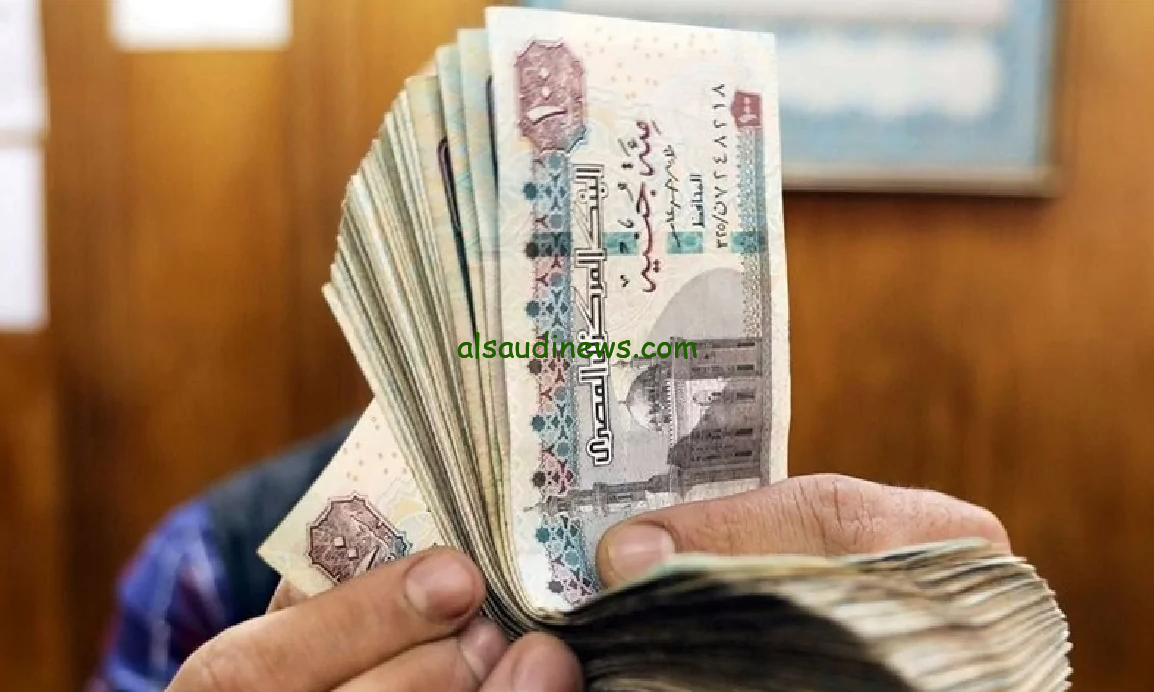 ” بشرى سارة ” الحد الادنى للاجور في 2025 للعاملين بالقطاع العام وموعد صرف مرتبات شهر ديسمبر