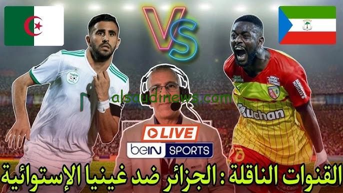 “ماتش محاربو الصحراء” القنوات المجانية الناقلة لمباراة الجزائر وغينيا الاستوائية اليوم 14/11 في تصفيات كأس أمم افريقيا 2025 والموعد