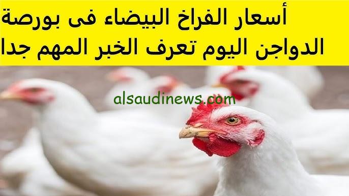الكيلو بقي بكام ؟.. بورصة الدواجن اليوم أسعار الفراخ البيضاء الخميس 21 نوفمبر 2024 في الاسواق المصرية
