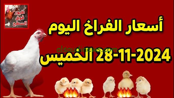 “الديك البلدي بـ100ج” بورصة الدواجن اليوم أسعار الفراخ البيضاء الخميس 28/11/2024 للتاجر والمستهلك