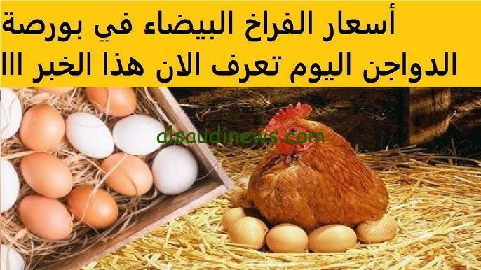 الكيلو وصل كام؟.. بورصة الدواجن اليوم أسعار الفراخ البيضاء الاثنين 4 نوفمبر 2024 وأسعار الكتاكيت في الأسواق