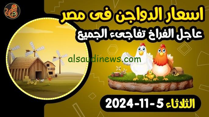 ” بعد ارتفاع سعر الدولار ” بورصة الدواجن اليوم أسعار الفراخ البيضاء والكتاكيت اليوم الثلاثاء 5 نوفمبر 2024 للمستهلك