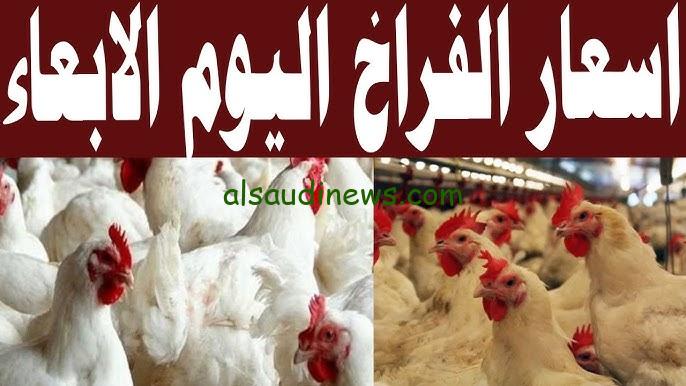 ” كيلو الفراخ بكام ؟ ” بورصة الدواجن اليوم أسعار الفراخ البيضاء الاربعاء 6 نوفمبر 2024 في الأسواق المصرية