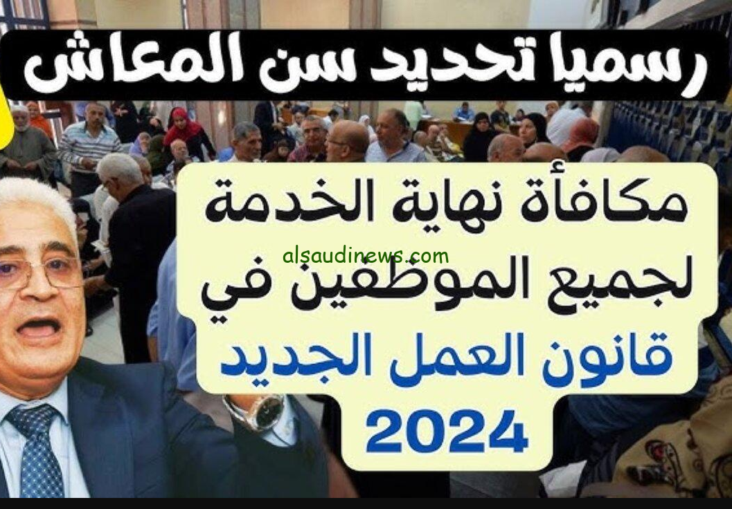 تحديد سن التقاعد رسميا لأصحاب المعاشات وتحديد مكافئات نهاية الخدمة 2024.. وفقا لقرار هيئة التأمينات الاجتماعية