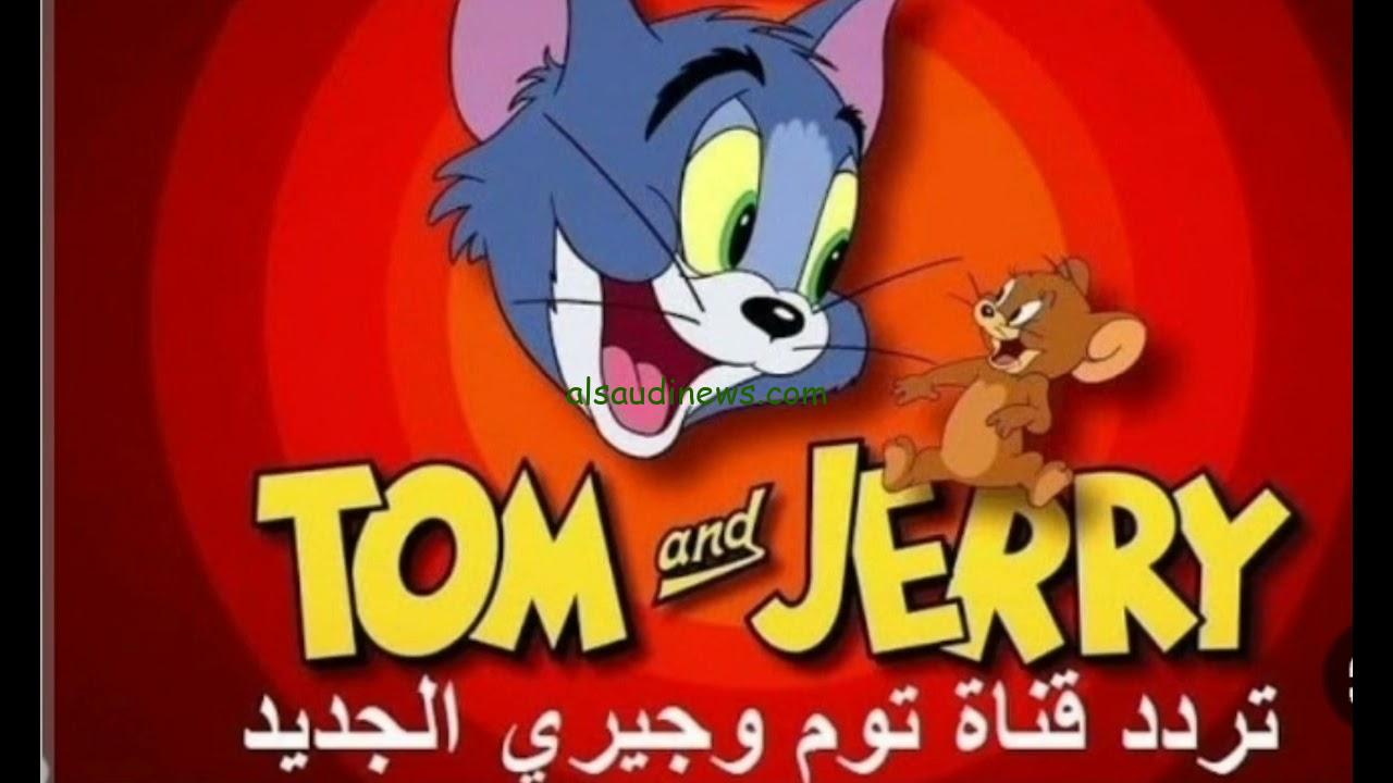 القط والفار بجودة HD .. تردد قناة توم وجيري 2025 Tom and Jerry علي القمر الصناعي نايل سات وعرب سات