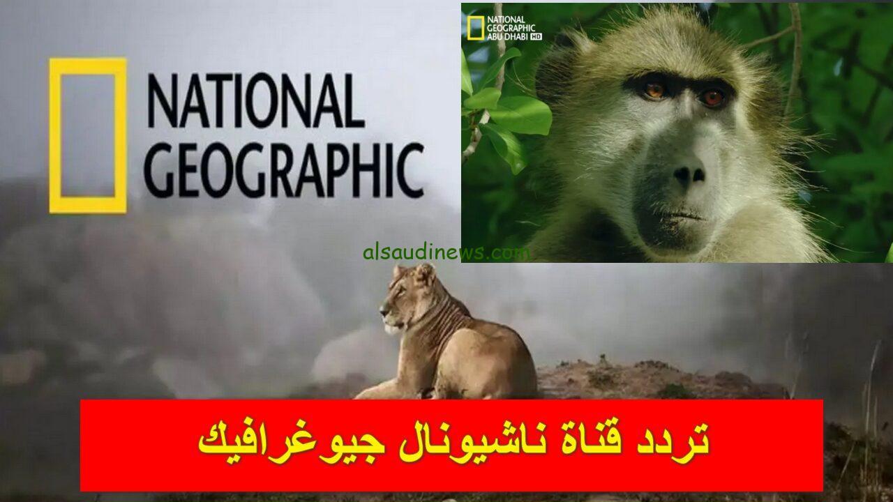 “ثعابين في المدينة” تردد قناة ناشيونال جيوغرافيك 2024 الجديد National Geographic علي جميع الأقمار الصناعية