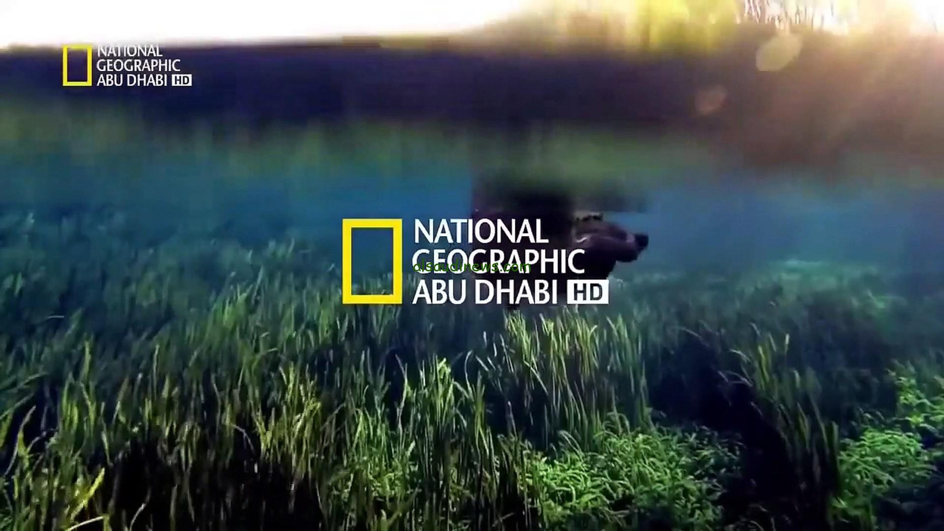 تردد قناة ناشيونال جيوغرافيك 2024 National Geographic عبر القمر الصناعي نايل سات وعرب سات بجودة عالية ثبتها الان