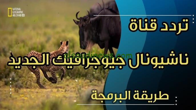 “الحياة البرية لايف” تردد قناة ناشيونال جيوغرافيك نايل سات 2024 National Geographic Tv علي نايل سات وعرب سات