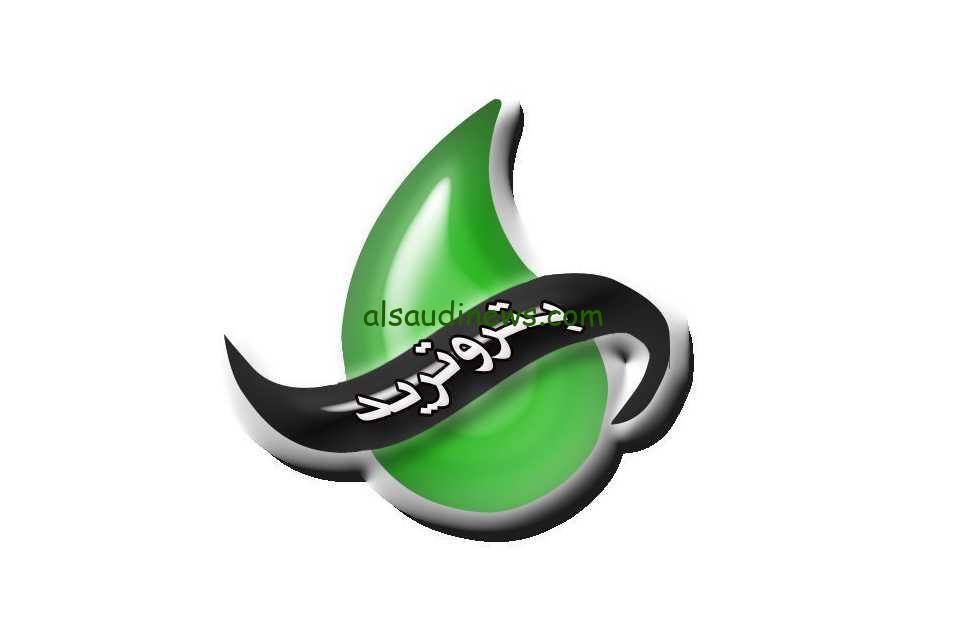 “13 طريقة للقراءة والسداد” تسجيل قراءة عداد الغاز بتروتريد 2024 لشهر نوفمبر عبر petrotrade.com.eg
