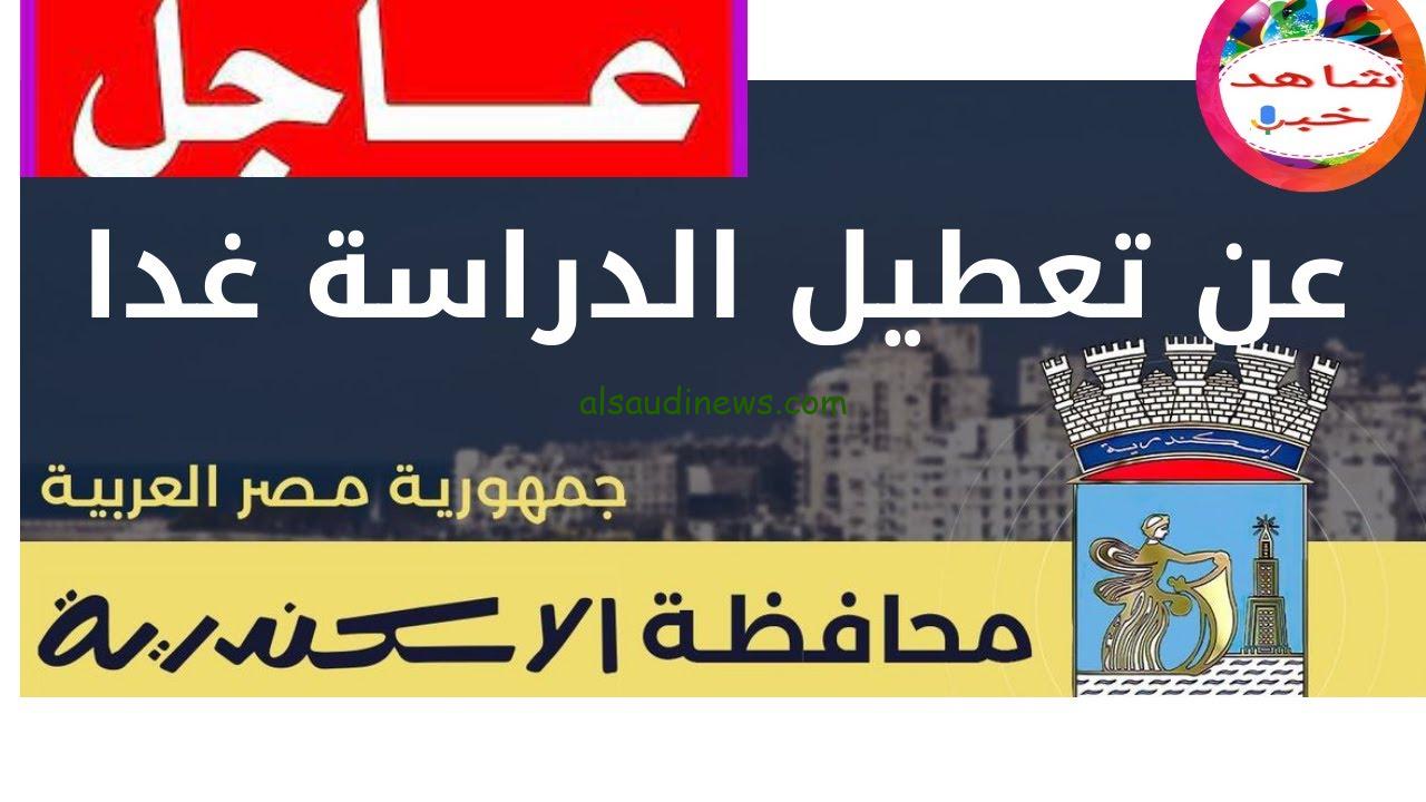 “موجة طقسية سيئة” حقيقة تعطيل الدراسة غدا في القاهرة والإسكندرية بسبب الخلايا الرعدية والامطار | هل بكرا أجازة؟