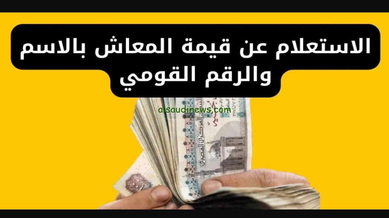رابط الاستعلام عن قيمة المعاش بالاسم 2024 عبر الهيئة العامة للتأمينات والمعاشات المصرية nosi.gov.eg