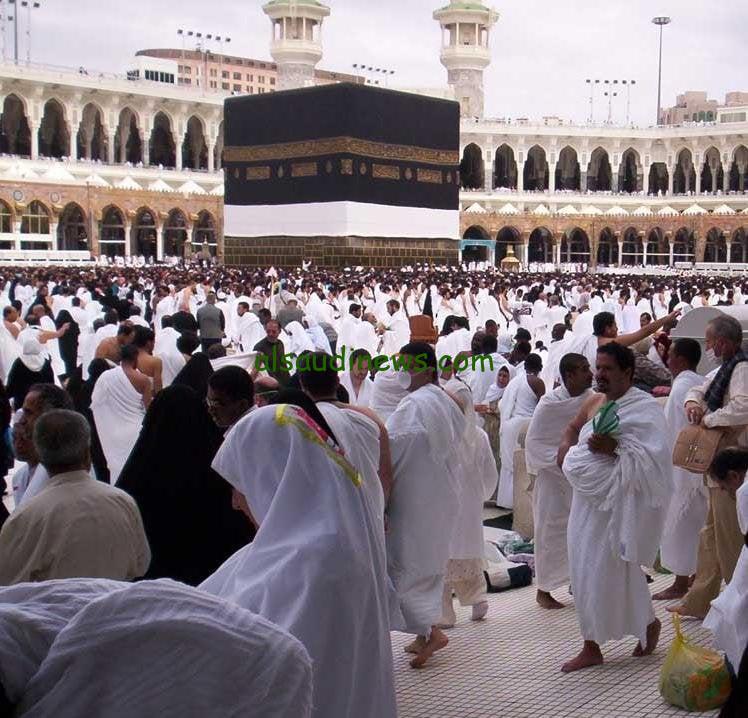 رابط التقديم علي حج وزارة التضامن 2025 عبر البوابة المصرية الموحدة للحج hij.moi.gov.eg