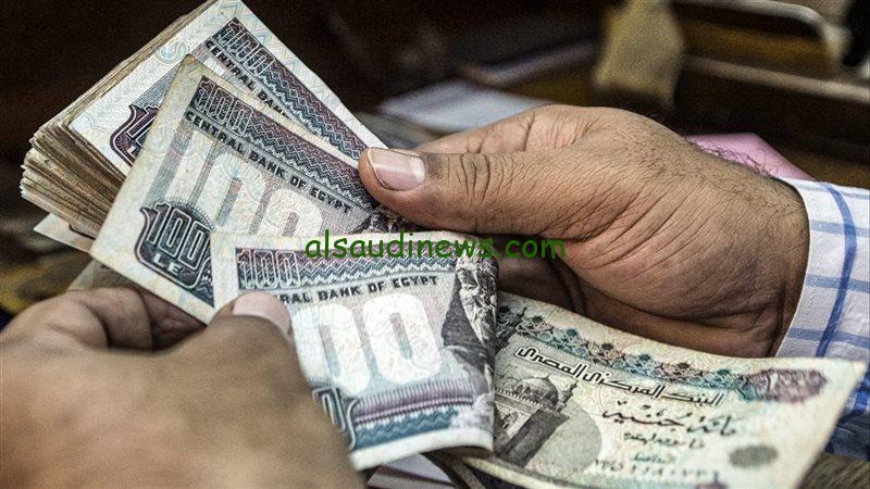 بشري سارة زيادة 15%.. زيادة مرتبات شهر نوفمبر 2024 وزارة المالية توضح وجدول الحد الأدنى للأجور