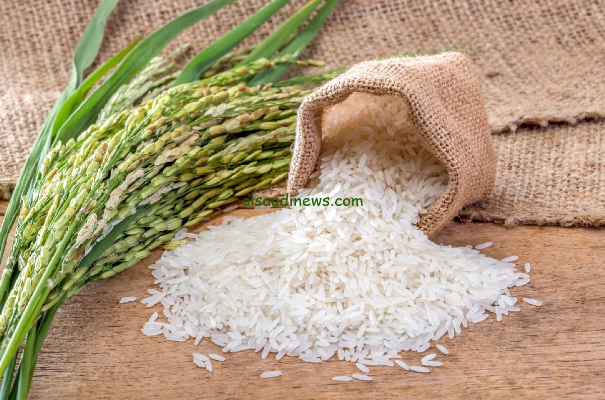 “الحبة العريضة والرفيعة” سعر طن الأرز الشعير اليوم الاثنين 18 نوفمبر 2024 في جميع الاسواق المصرية