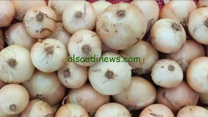 “الأبيض بكام الان” سعر البصل اليوم الخميس 21 نوفمبر 2024 الخضروات والفاكهة في الأسواق