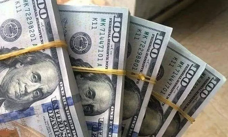 الورقة 100 دولار كم مصري في السوق السوداء؟ ..سعر الدولار اليوم امام الجنية فى كافة البنوك المصرية