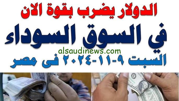 “الامريكي يناهز الـ 50 جنيه” سعر الدولار في السوق السوداء اليوم السبت 9 نوفمبر 2024 وفي البنوك المصرفية العاملة في مصر
