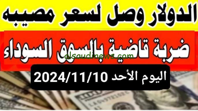 “وصل كام؟؟” سعر الدولار في السوق السوداء اليوم الاحد 10 نوفمبر 2024 وداخل البنوك المصرفية العاملة في مصر