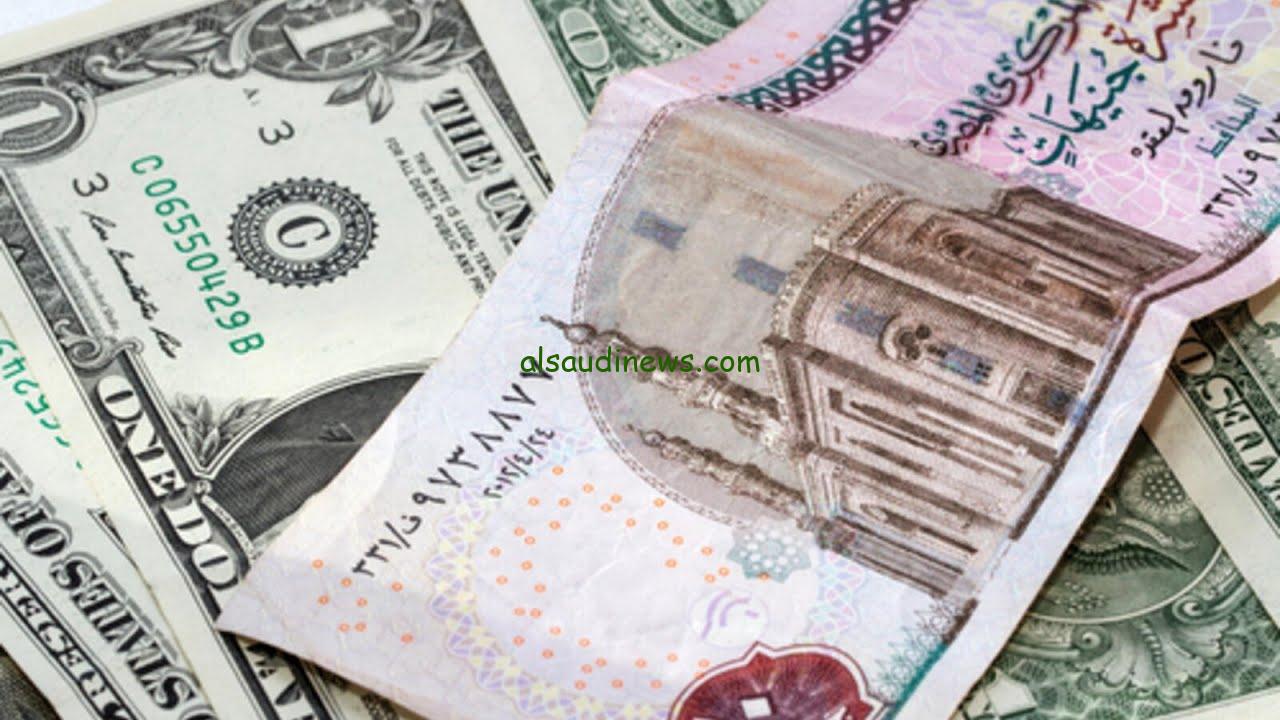 100 دولار كم مصري؟ .. سعر الدولار في السوق السوداء امام الجنيه المصري اليوم الاحد 17 نوفمبر 2024