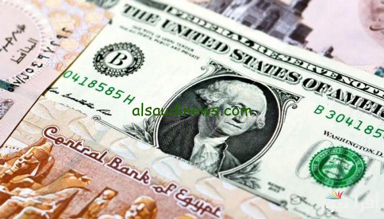 “الأخضر بينافس الصاروخ” سعر الدولار في السوق السوداء مقابل الجنيه المصري اليوم الأربعاء 27 نوفمبر 2024 في البنوك المصرية
