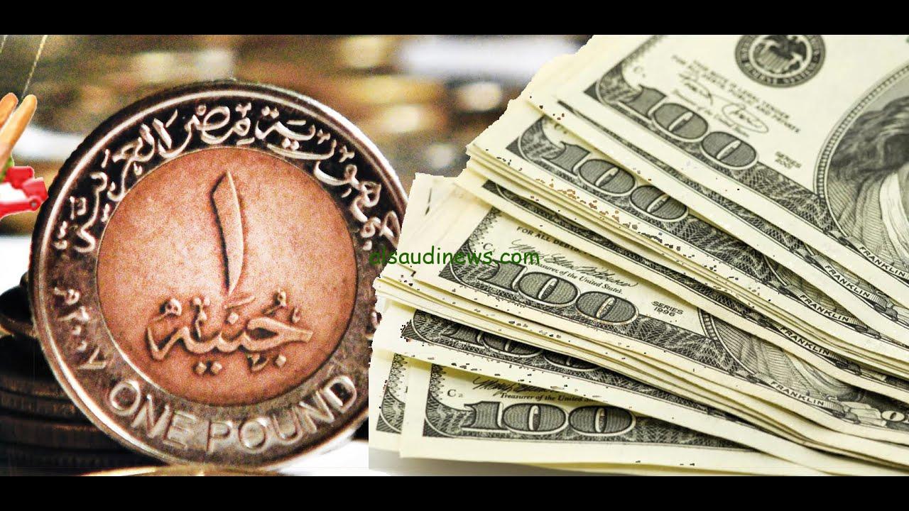 ” كام سعر 100 الدولار في السوق السوداء؟ ” سعر الدولار مقابل الجنيه المصري في السوق السوداء اليوم الخميس 21 نوفمبر 2024 وفي الصرافة