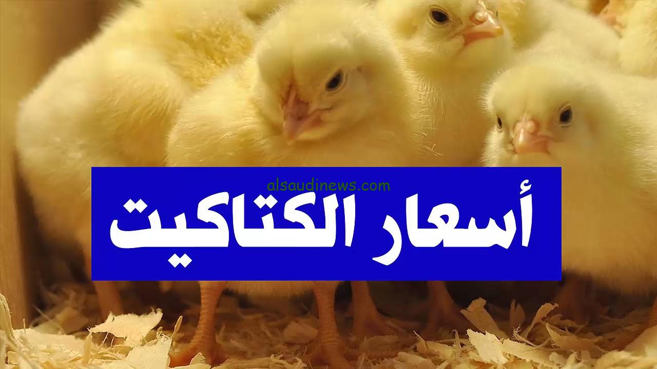 “اشتري وربي” انخفض سعر الكتكوت الأبيض اليوم الثلاثاء 19-11-2024 في بورصة الدواجن