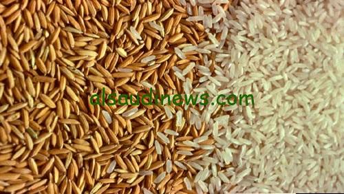 “طن الشعير بكام؟” سعر طن أرز الشعير اليوم الأحد 3 نوفمبر 2024 بعد آخر تحديث