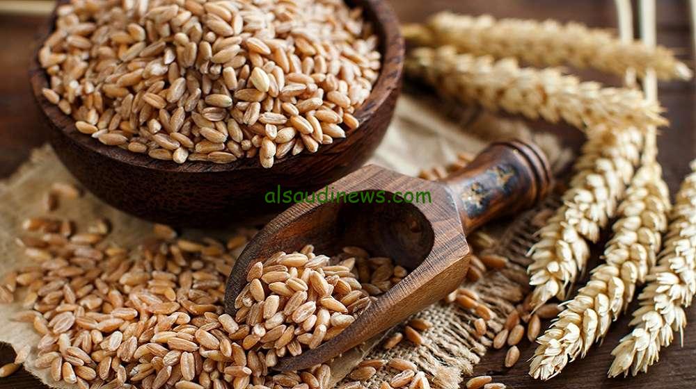 الشعير وصل كام.. سعر طن أرز الشعير اليوم في الأسواق الثلاثاء 12 نوفمبر 2024