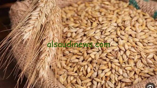 ” بقى بكام النهاردة؟ ” سعر طن الأرز الشعير اليوم الأربعاء 6 نوفمبر 2024 للمستهلك والتاجر في الاسواق