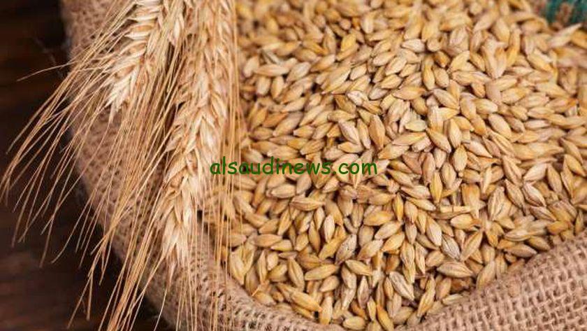 “عريضة ولا رفيعة” سعر طن الأرز الشعير اليوم الثلاثاء 19 نوفمبر 2024 في الأسواق المحلية وأسعار السلع الأساسية
