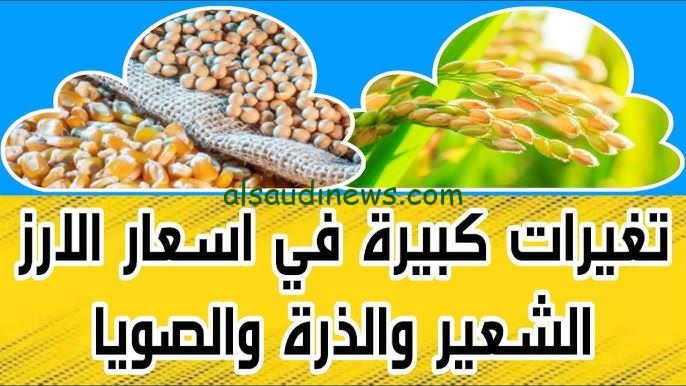 ” طن الأرز الشعير كام كيلو؟ ” سعر طن الأرز الشعير اليوم الاحد 24 نوفمبر 2024 في جميع الاسواق