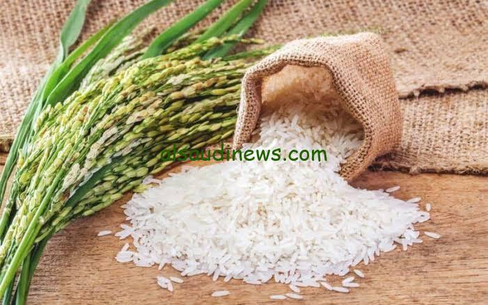 “الكيلو بــ 34 جنيه” سعر طن الأرز الشعير اليوم الخميس 28 نوفمبر 2024 في الأسواق والمحلات التجارية