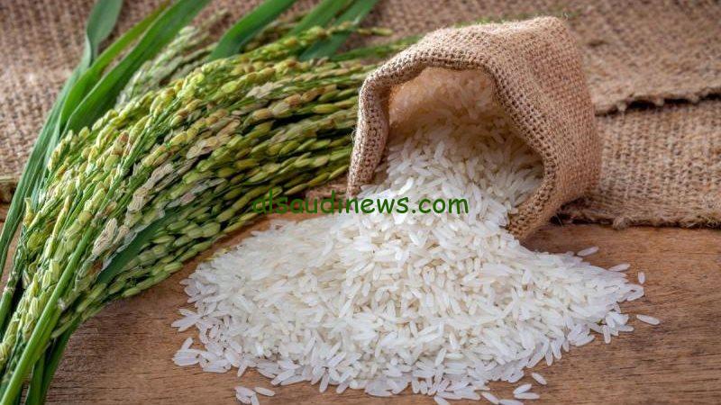 الحبة العريضة بكام؟.. سعر طن الأرز الشعير اليوم الاربعاء 6 نوفمبر 2024 في الأسواق المختلفة للمستهلك وأسعار السلع التموينية