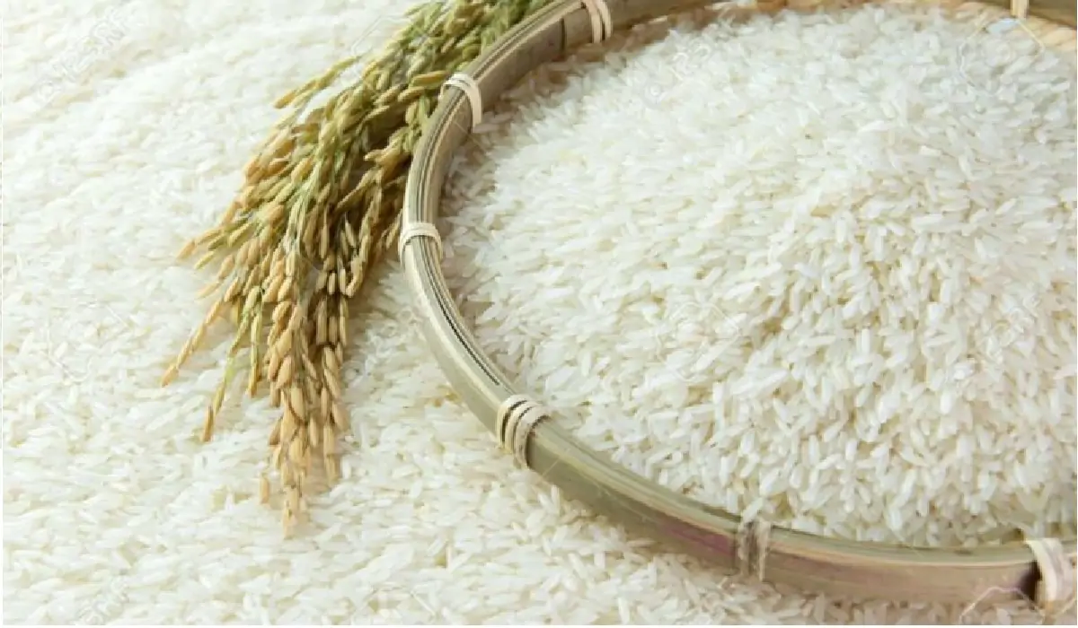 ” افضل انواع الأرز في مصر ” سعر طن الأرز الشعير اليوم السبت 16 نوفمبر 2024 بالأسواق في مصر