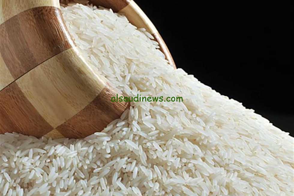 “الحبة الرفيعة بكام؟” سعر طن الأرز الشعير اليوم الجمعة 1/11/2024 في مصر بعد انتهاء موسم الحصاد