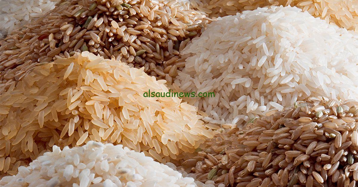 الحبة العريضة وصلت كام ؟.. سعر طن الارز الشعير اليوم السبت 30 نوفمبر 2024 في الأسواق المصرية