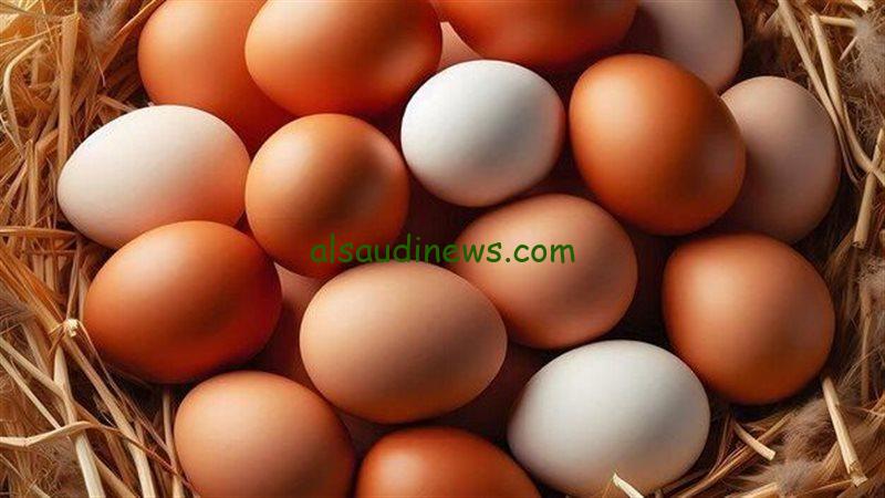 ” البيضة بكام؟ ” سعر كرتونة البيض اليوم الأربعاء 6-11-2024 والفراخ البيضاء في الأسواق للمستهلك