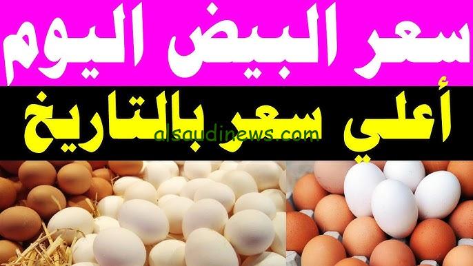 ” البيضة بكام النهاردة ؟” سعر كرتونة البيض اليوم للمستهلك الأربعاء 13 نوفمبر 2024 والكتكوت عمر يوم